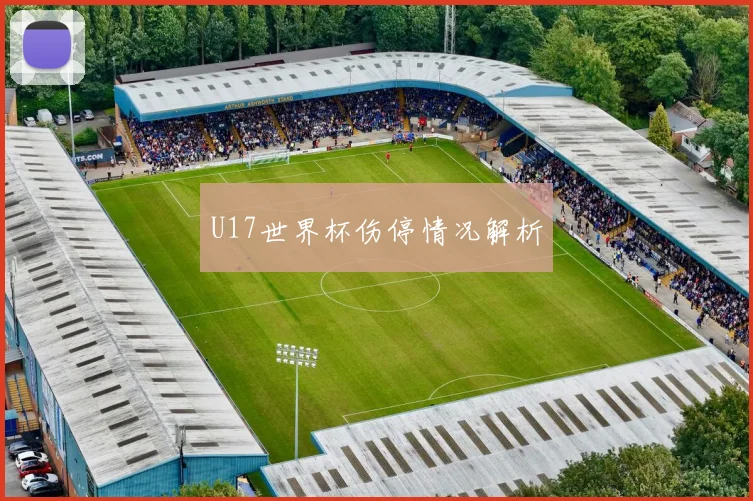 U17世界杯伤停情况解析