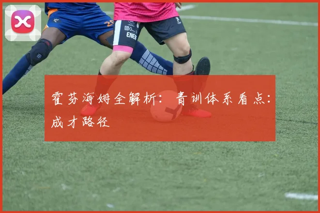 霍芬海姆全解析：青训体系看点：成才路径
